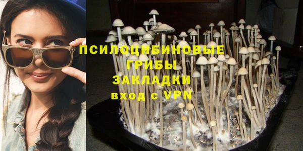 прущая мука Алзамай