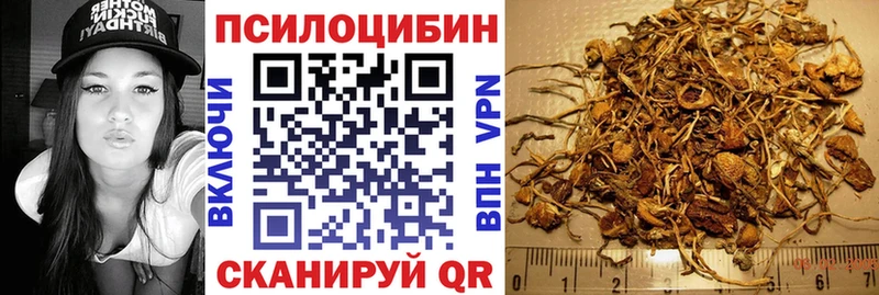 закладка  Новосиль  Псилоцибиновые грибы прущие грибы 
